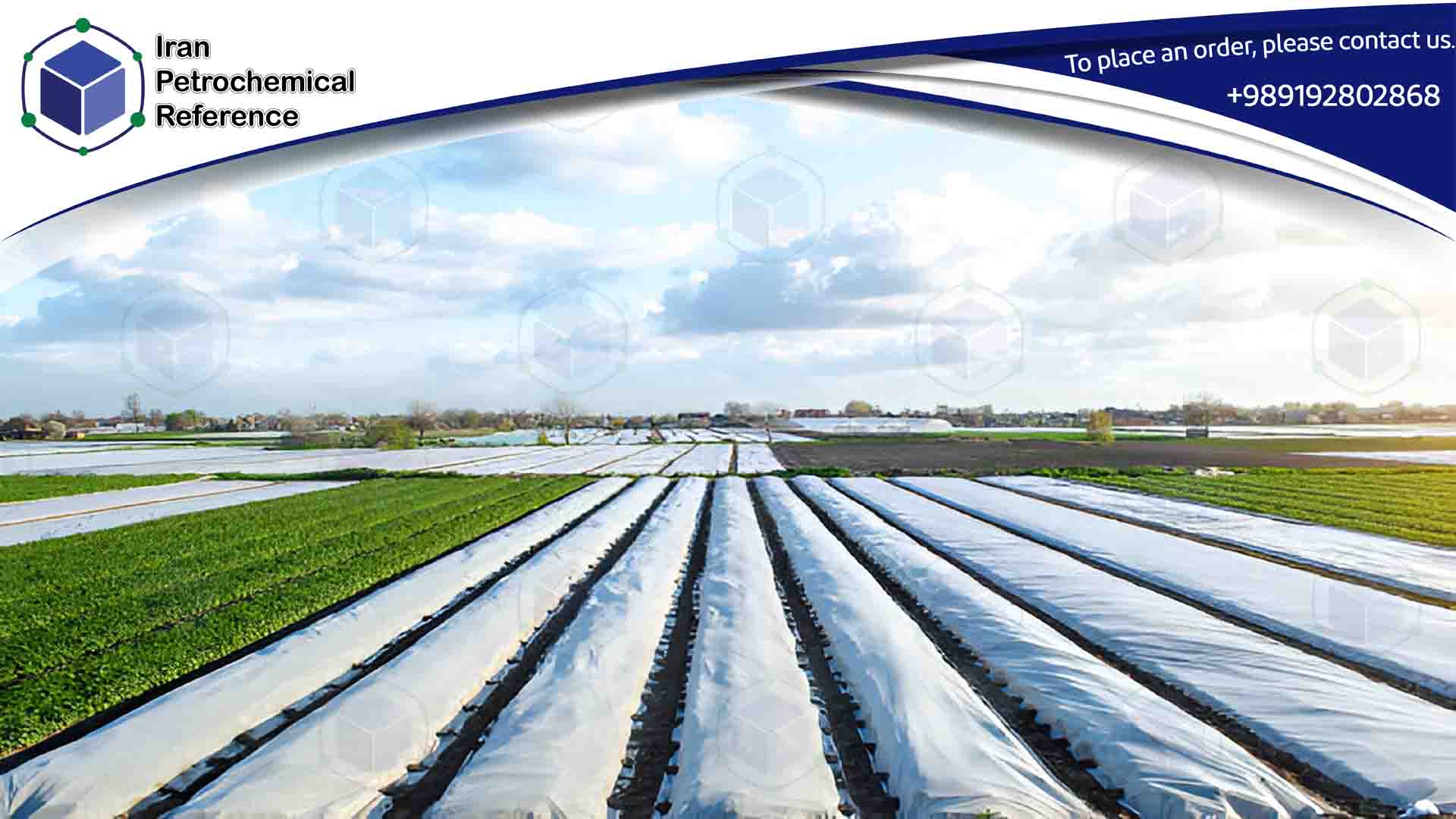 LLDPE 209 wide plastic sheets in agricultural farm.